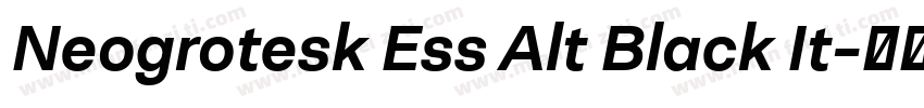 Neogrotesk Ess Alt Black It字体转换